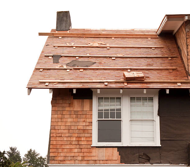 Affordable Siding Repair and Maintenance Services in Cle Elum, WA